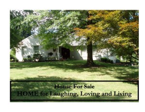 #22 HOUSE FOR LIVING