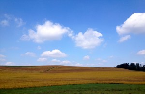 This beautiful scene would have been missed if we weren't able to STOP long enough to capture it. ©2014 PEACE FULL HOME.COM