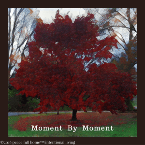 2016-peace-full-home_intnetional-living