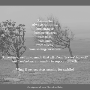 Running...always runningfrom danger,from predators,from pain